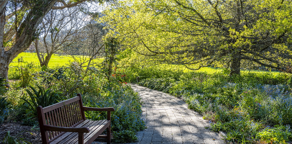 Garden view with pathway